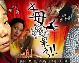 国产人妻鲁鲁一区二区-国产精品亚洲精品日韩已方-丰满人妻妇伦又伦精品国产